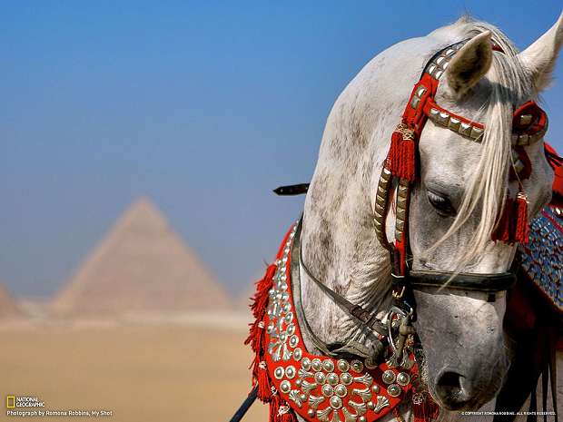 Путешествуем с National Geographic