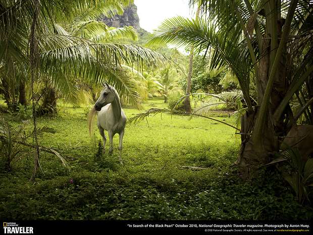 Путешествуем с National Geographic