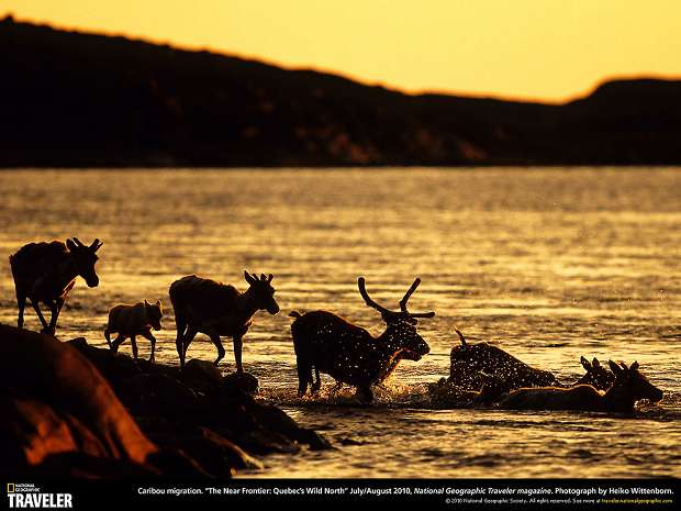 Путешествуем с National Geographic