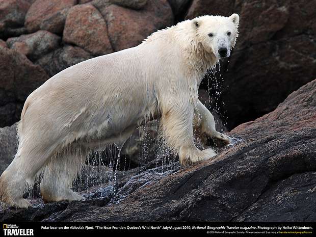Путешествуем с National Geographic