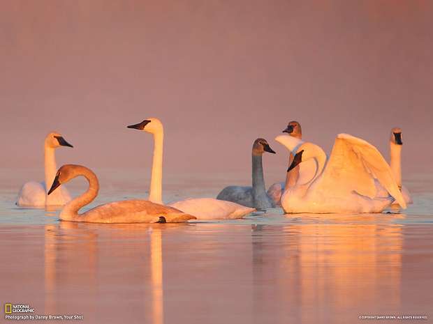 Путешествуем с National Geographic