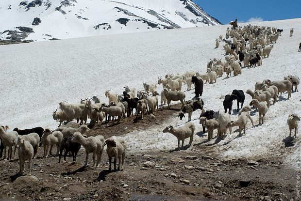 перевал Ротанг, Rohtang pass