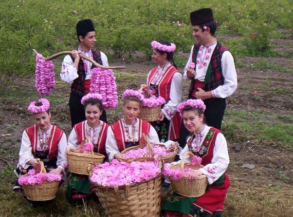 фестиваль роз