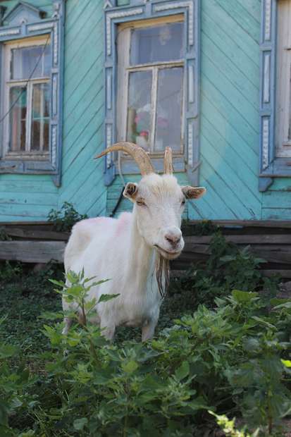 Остров-град Свияжск