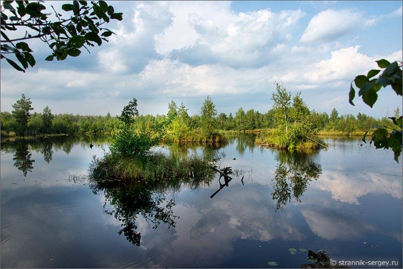 Мещёра: Туголесье – леса, болота, озера