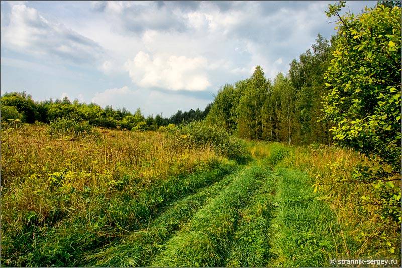 Мещера полевая дорога Лешниково