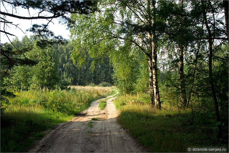 Мещера лесная дорога