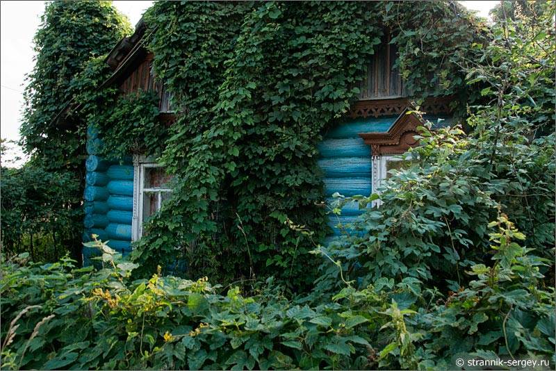 Мещера древняя деревня Ивановская крестьянский дом