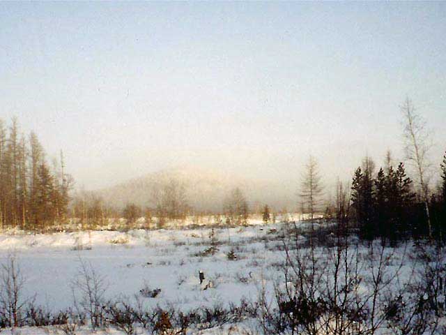 Гора «Лысая» в туманной дымке