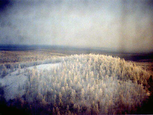 Гора «Лысая»